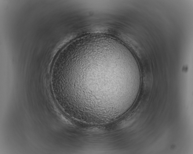 X0000094970721200712061427