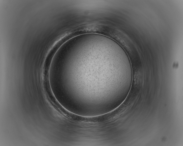 X0000094970722200712061427