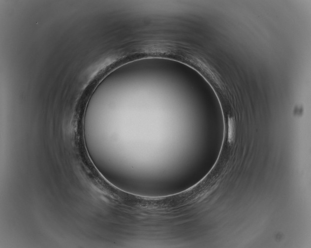 X0000094970723200712061427