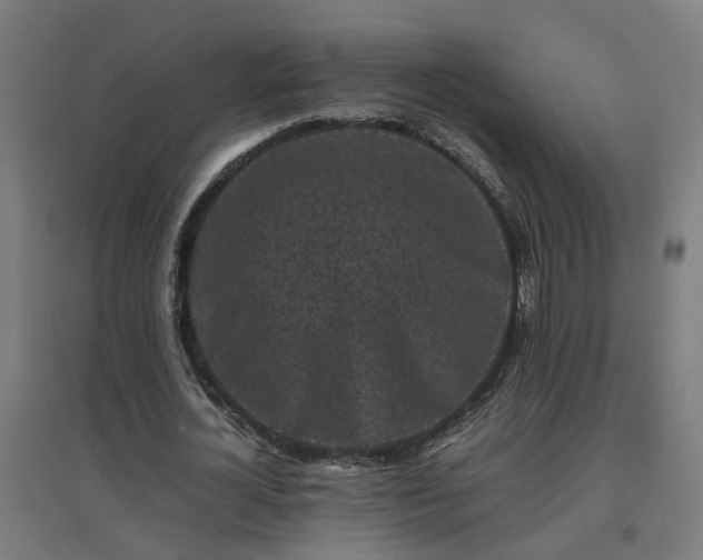 X0000094970724200712061427