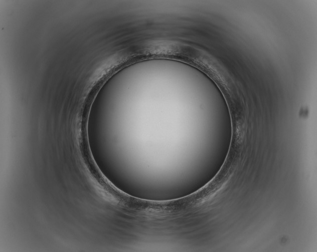 X0000094970725200712061427