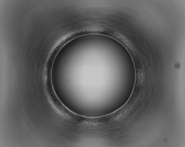 X0000094970726200712061427