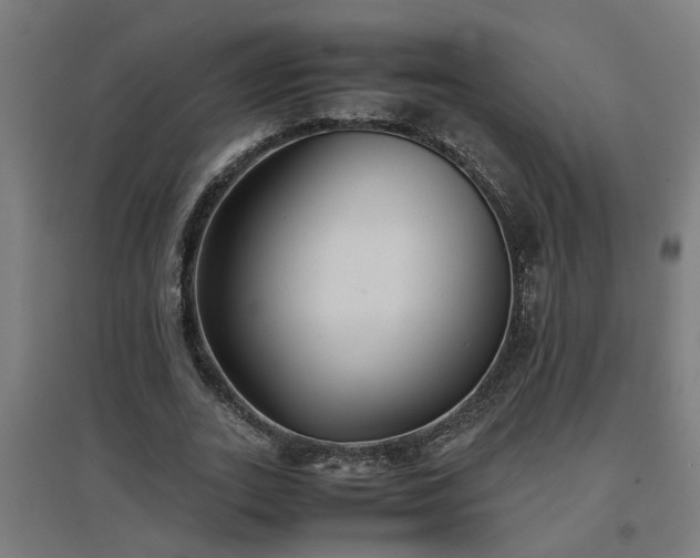 X0000094970727200712061427