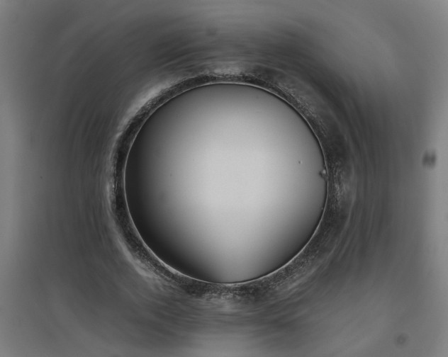 X0000094970728200712061427