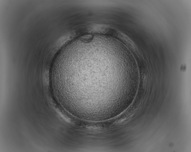 X0000094970729200712061427