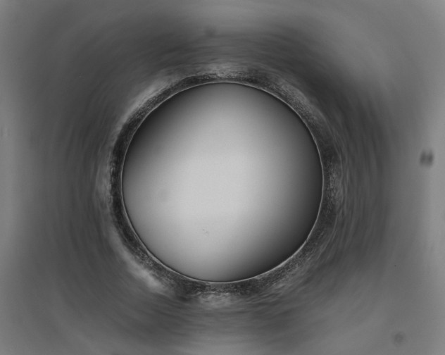 X0000094970730200712061427