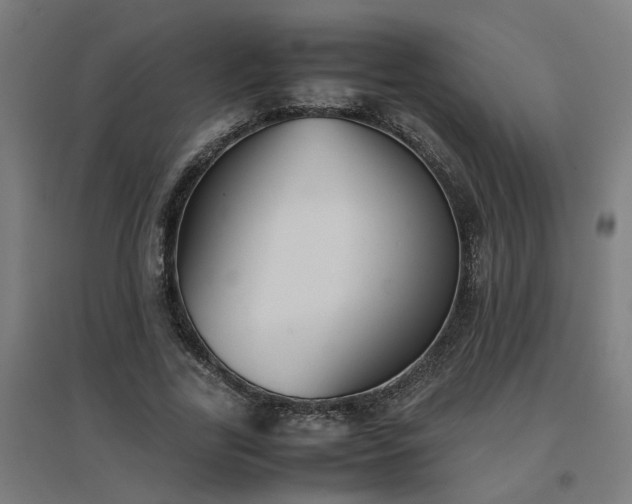 X0000094970731200712061427