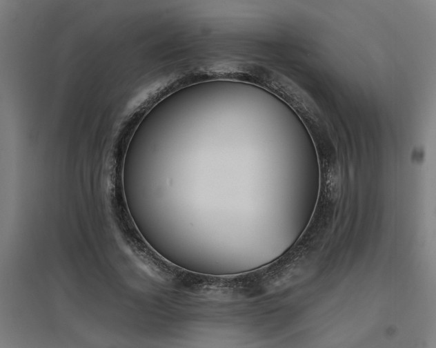 X0000094970732200712061427