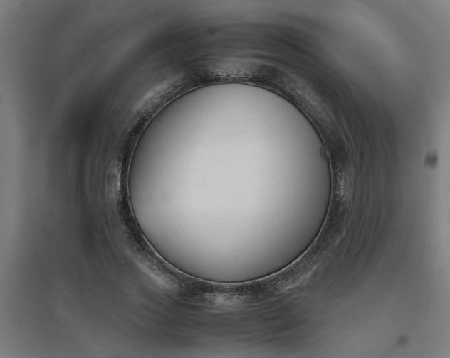 X0000094970733200712061427