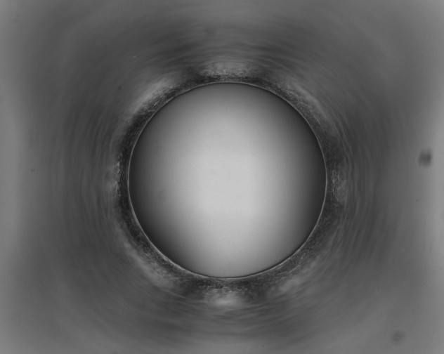 X0000094970735200712061427