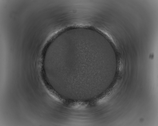 X0000094970736200712061427