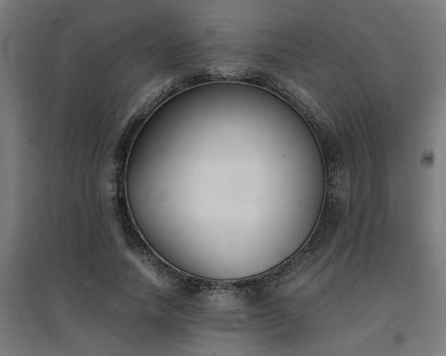 X0000094970738200712061427