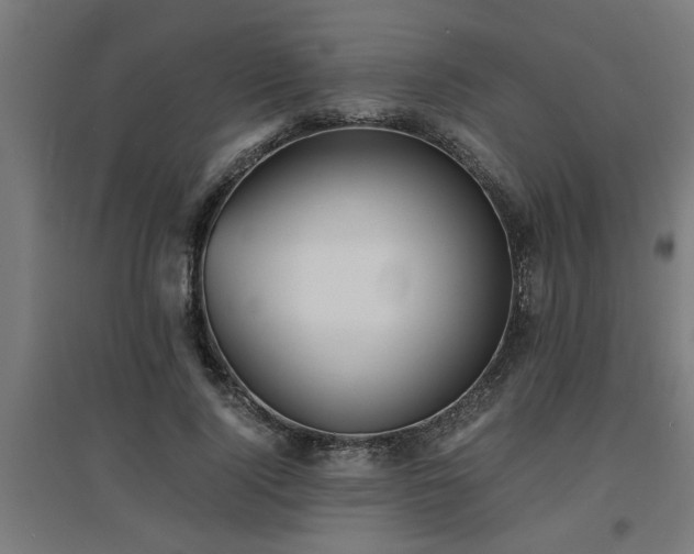 X0000094970740200712061427