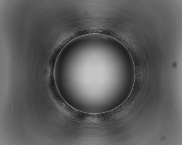 X0000094970742200712061427