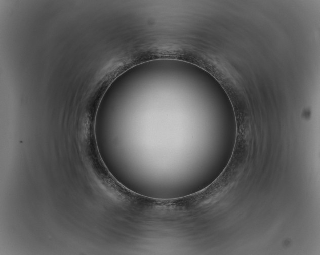 X0000094970744200712061427