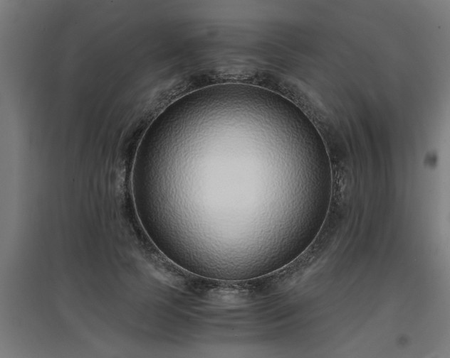 X0000094970745200712061427