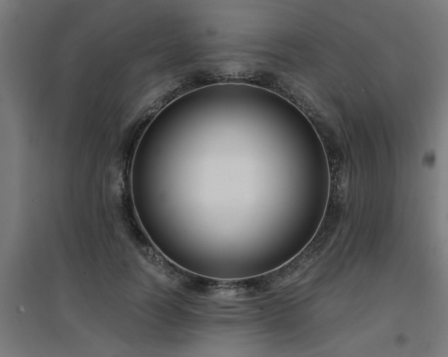 X0000094970746200712061428