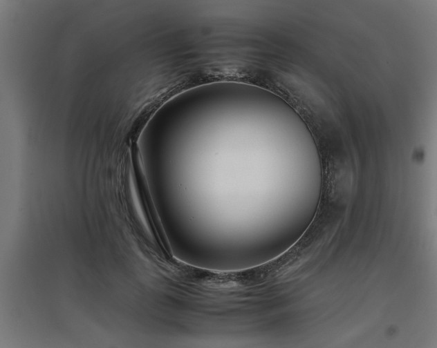 X0000094970747200712061428