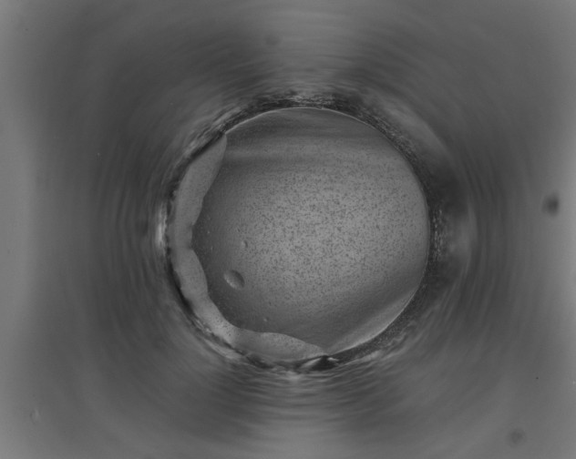 X0000094970748200712061428