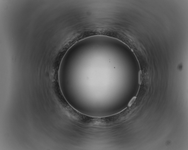 X0000094970750200712061428