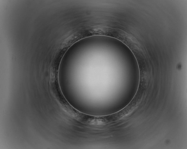 X0000094970751200712061428