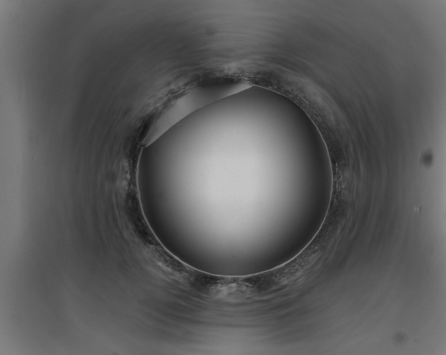 X0000094970752200712061428