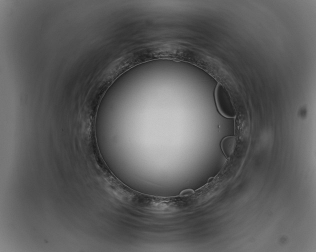 X0000094970753200712061428