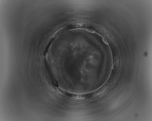 X0000094970754200712061428