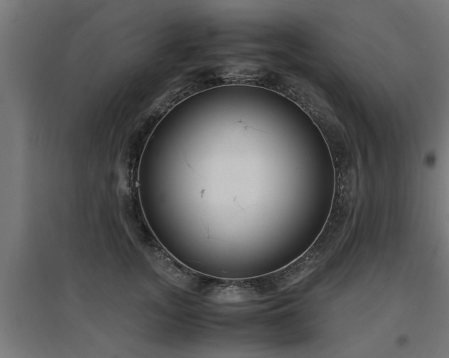 X0000094970755200712061428