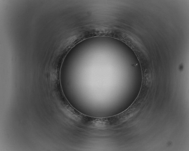 X0000094970756200712061428