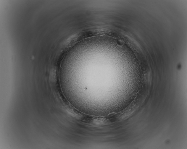 X0000094970757200712061428