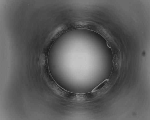 X0000094970758200712061428