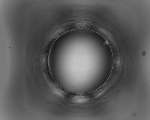 X0000094970759200712061428