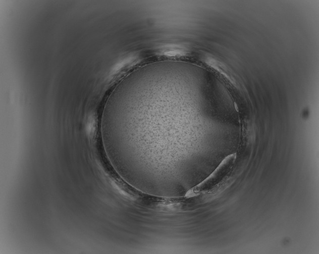 X0000094970760200712061428