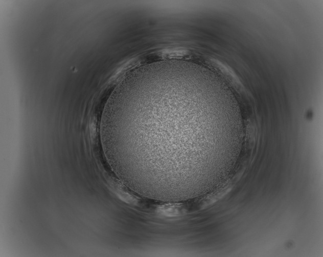 X0000094970761200712061428