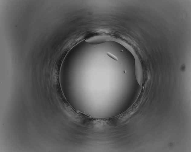 X0000094970762200712061428