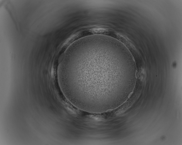 X0000094970763200712061428