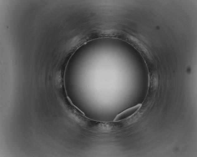 X0000094970764200712061428