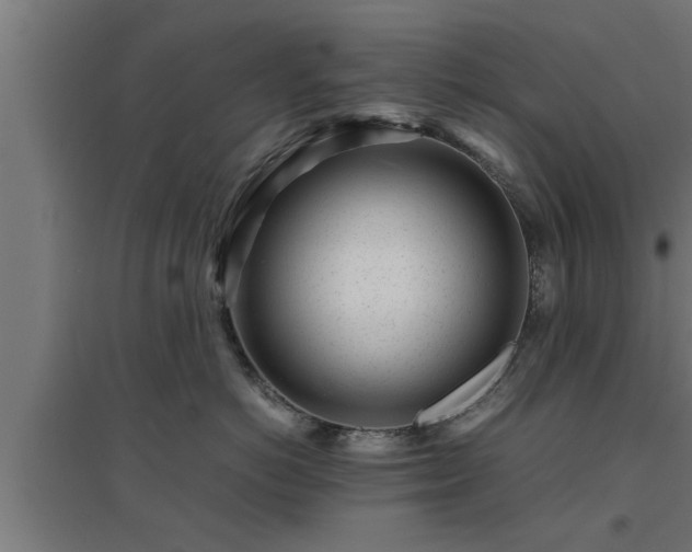 X0000094970766200712061428