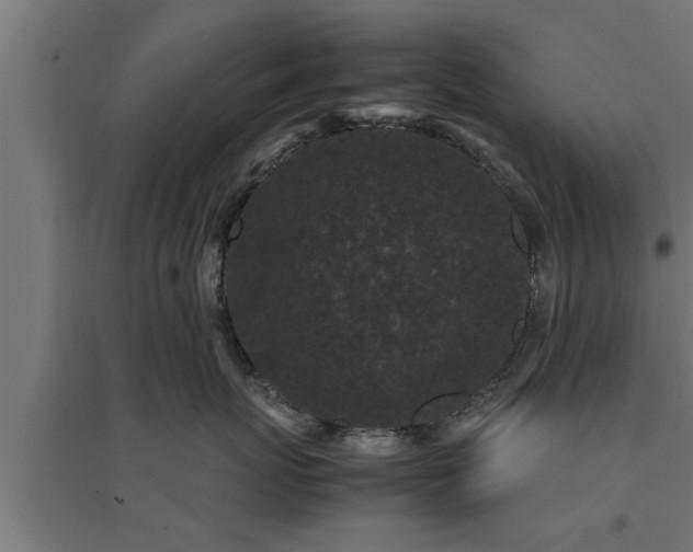 X0000094970767200712061428