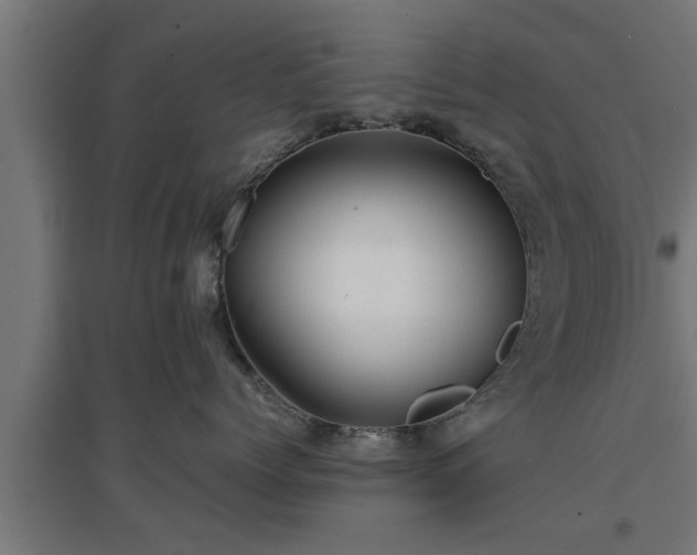 X0000094970768200712061428