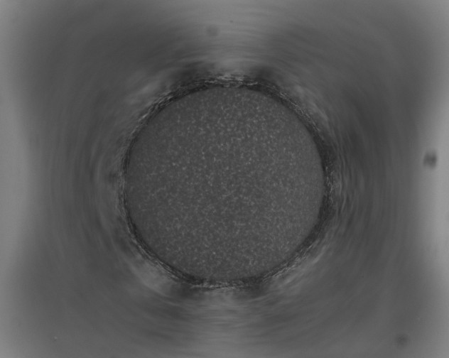 X0000094970769200712061427