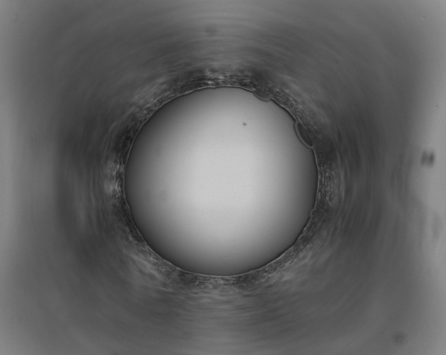 X0000094970770200712061427