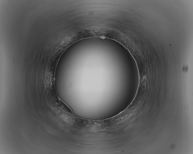 X0000094970772200712061427