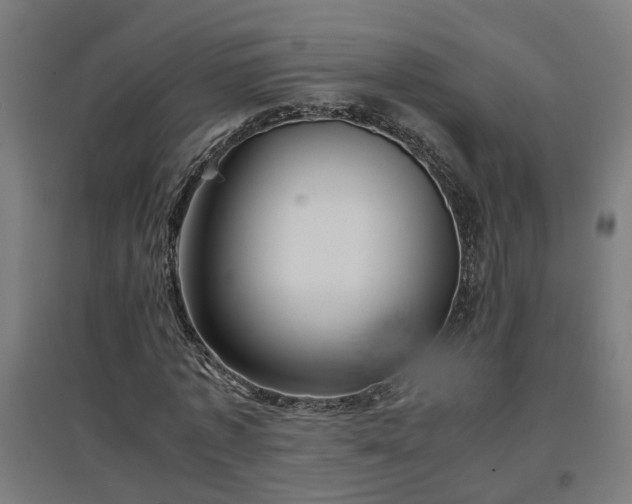 X0000094970773200712061427