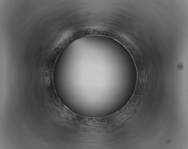 X0000094970774200712061427