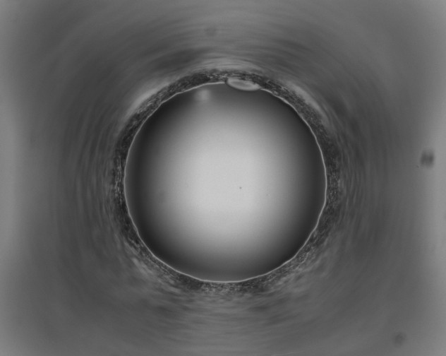 X0000094970775200712061427