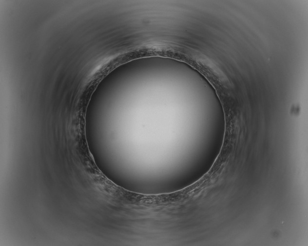 X0000094970776200712061427