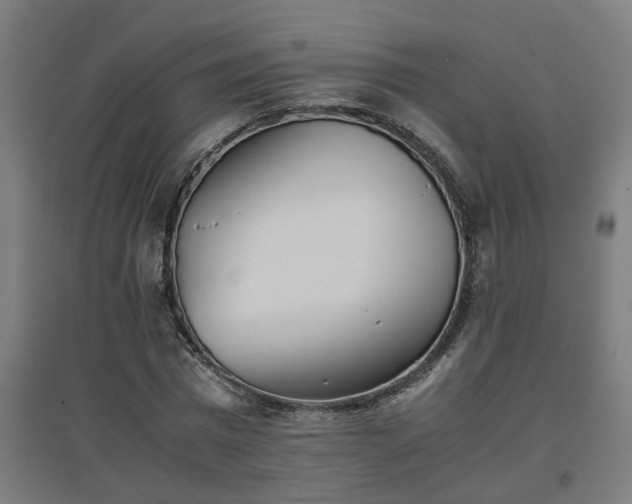 X0000094970777200712061427