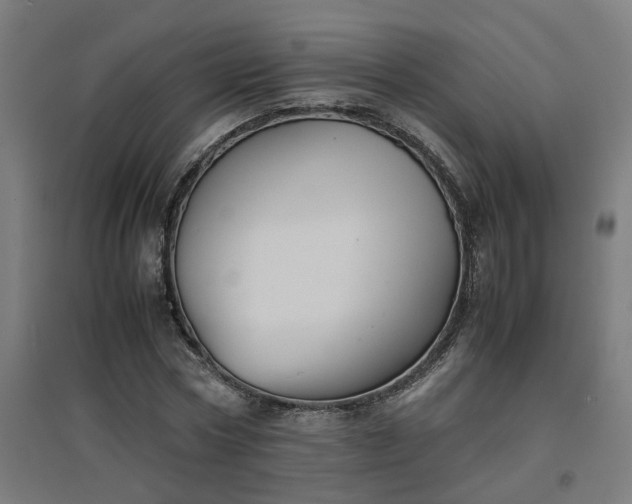 X0000094970778200712061427